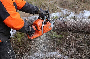 forest chainsaw
