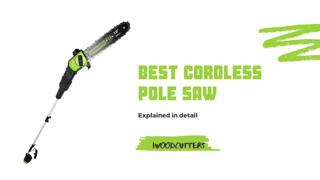 best cordless pole saw